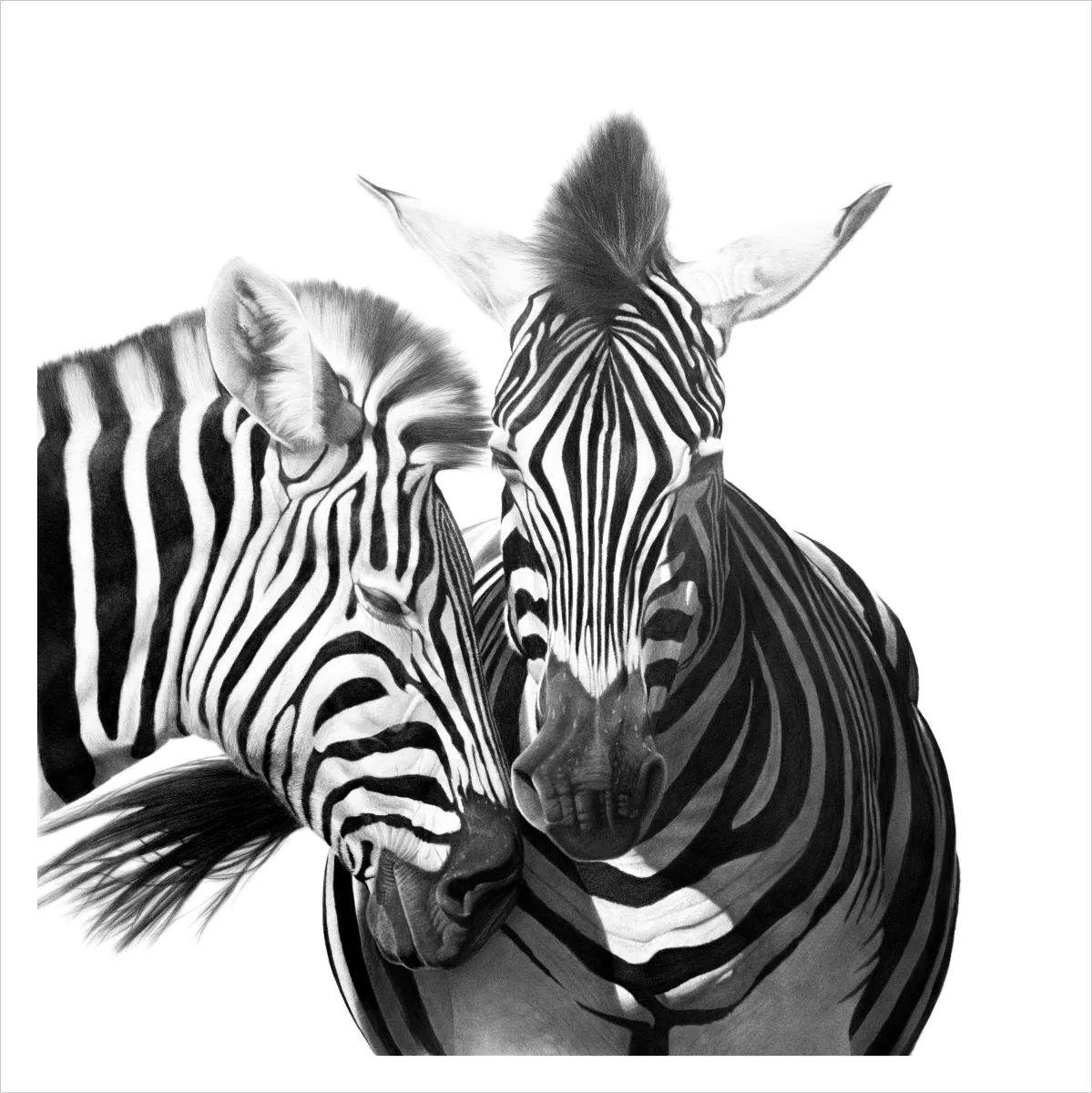 &quot;Whispers&quot;- Limited Edition Print on Fine Art Paper