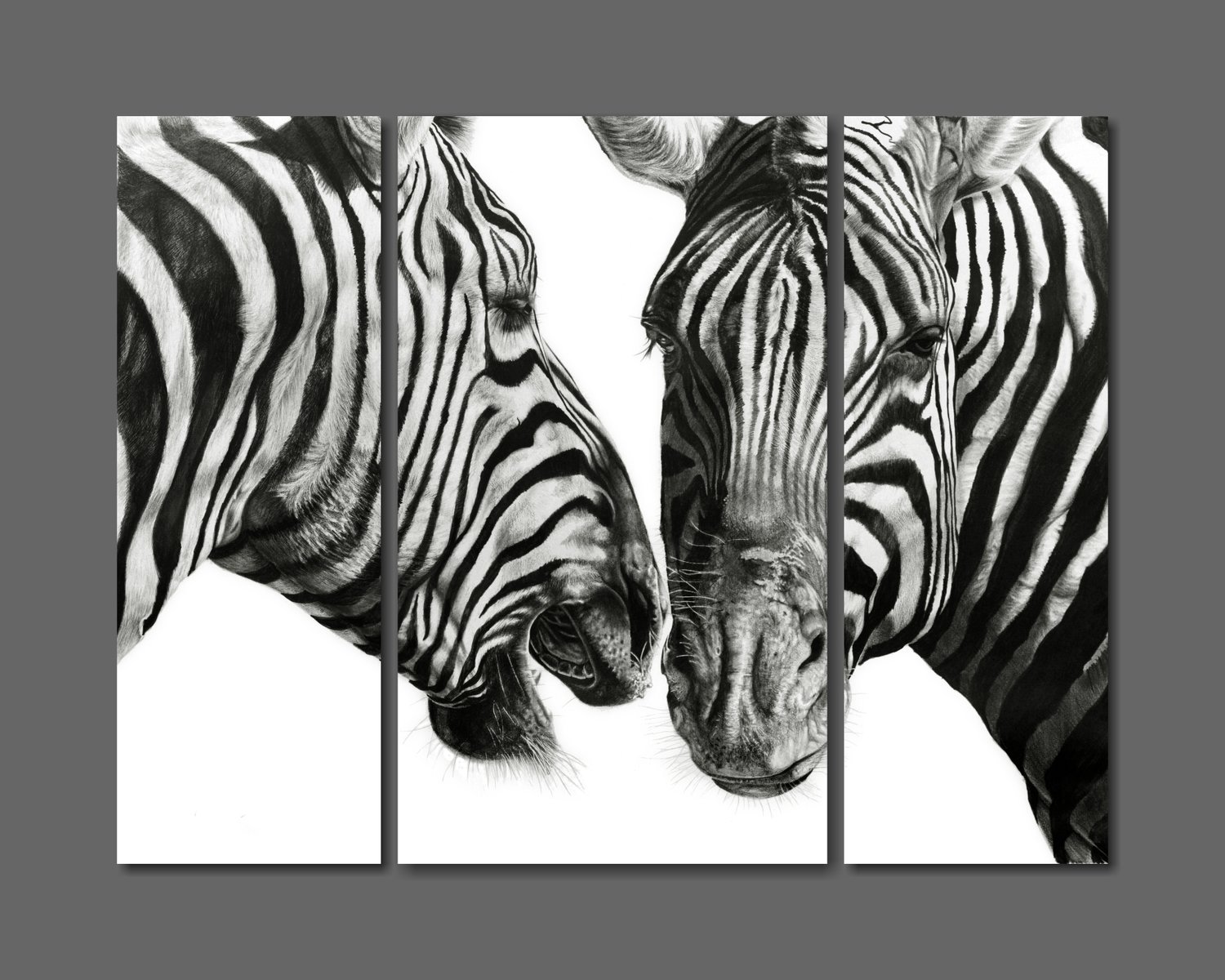 "Zebra Gossip Triptych on Canvass"