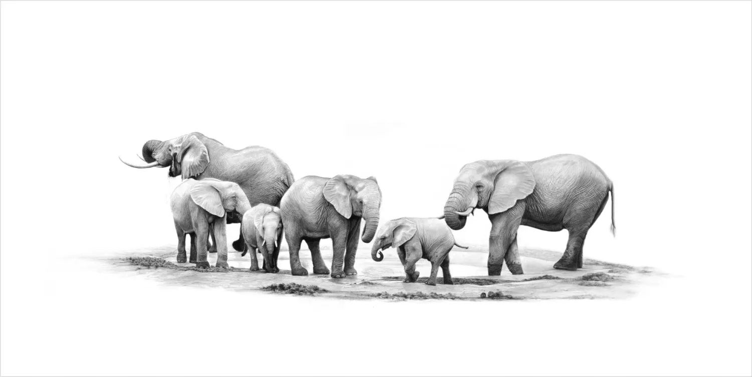"Happy Hour" - 841mm x 285mm Limited Edition Print on Fine Art Paper