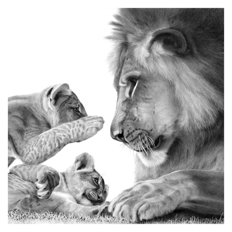 "Ag Pleez Daddy!" - 420mm x 420mm Limited Edition Print on Fine Art Paper