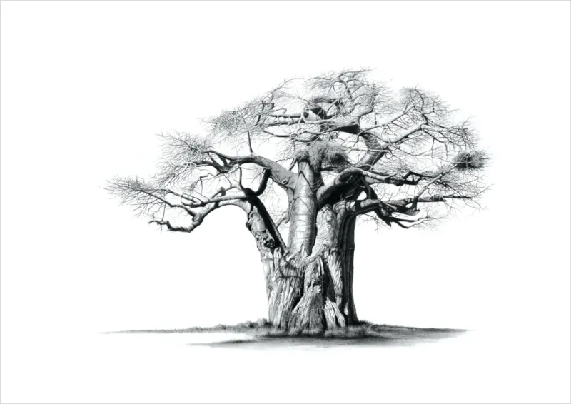 "Baobab Ridge Sentinel" - A2 Limited Edition Print on Fine Art Paper