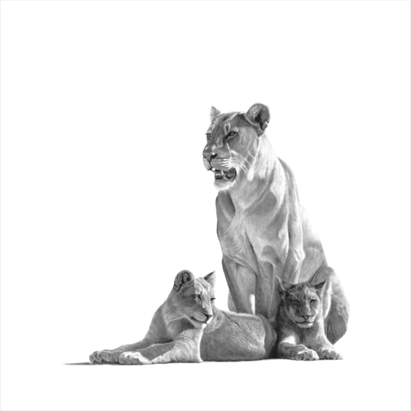 "Experience is the Mother of Wisdom" - 420mm x 420mm Limited Edition Print on Fine Art Paper