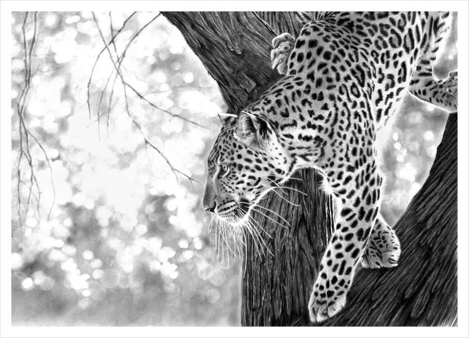"Into the Light" -A2 Limited Edition Print on Fine Art Paper