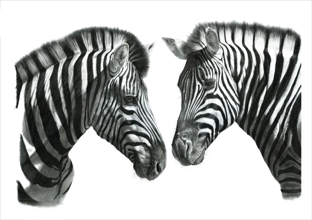 "Indaba" - A2 Limited Edition Print on Fine Art Paper