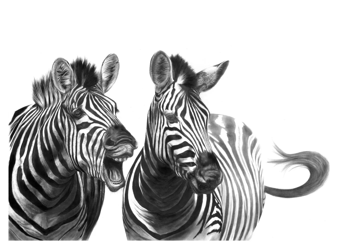 "Gift Horse" -A2 Limited Edition Print on Fine Art Paper