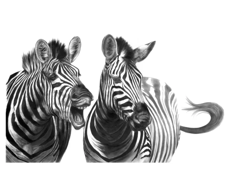 "Gift Horse" -A2 Limited Edition Print on Fine Art Paper