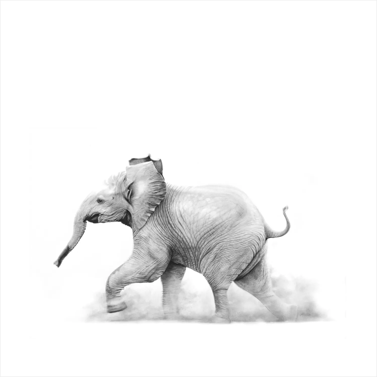 "Tamba" - 420mm x 420mm Limited Edition Print on Fine Art Paper