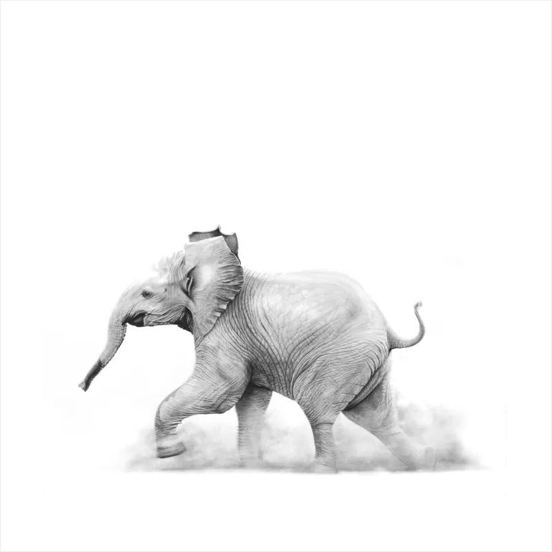"Tamba" - 420mm x 420mm Limited Edition Print on Fine Art Paper