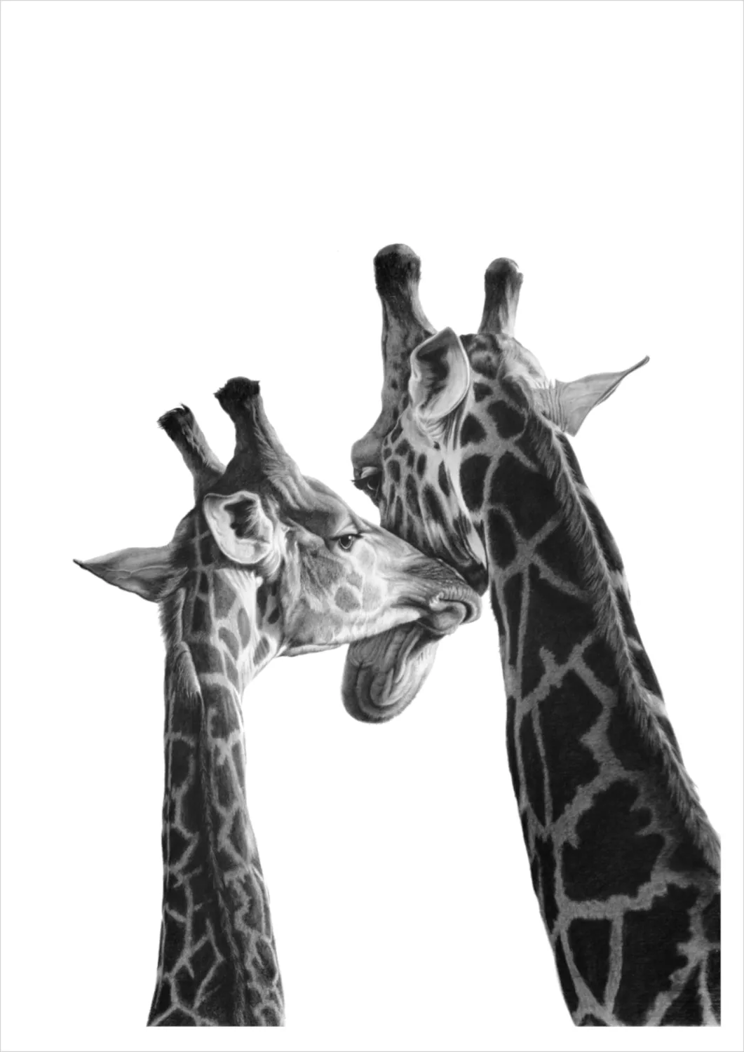 "Sweet Nothings" - A2 Limited Edition Print on Fine Art Paper