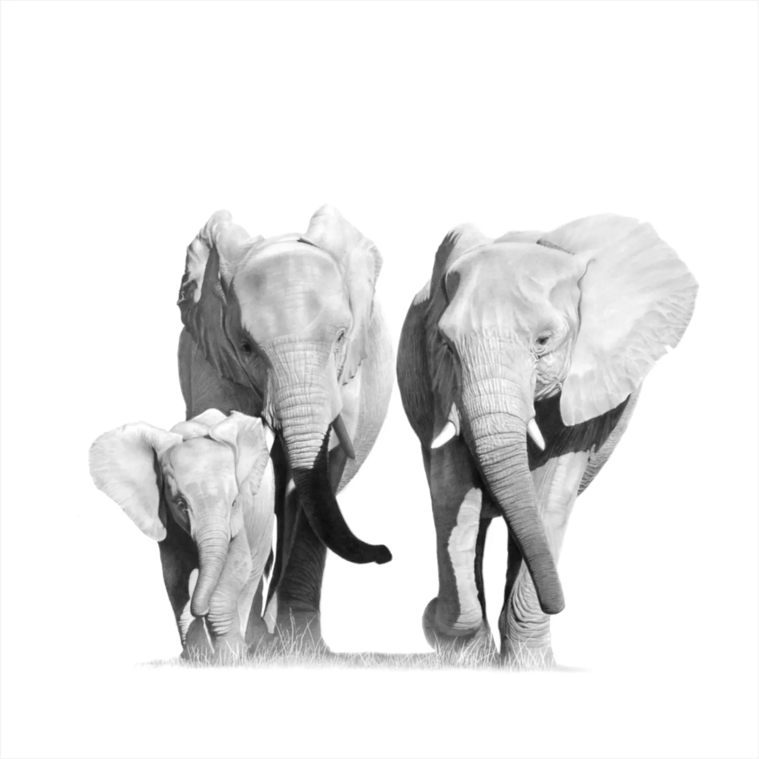 "Together" - 420mm x 420mm Limited Edition Print on Fine Art Paper