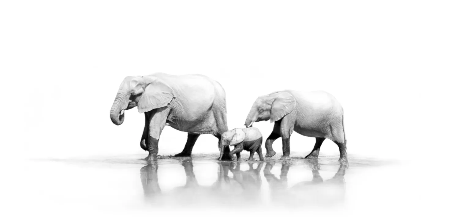 "The Crossing" - 594mm x 297mm Limited Edition Print on Fine Art Paper