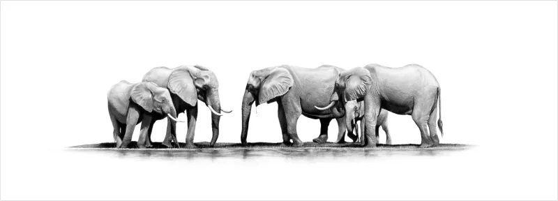 "Matusadona Clan II" - 841mm X 285mm Limited Edition Print on Fine Art Paper