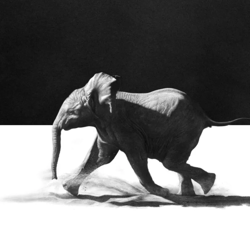 "Skabenga"  - Original Pencil Art