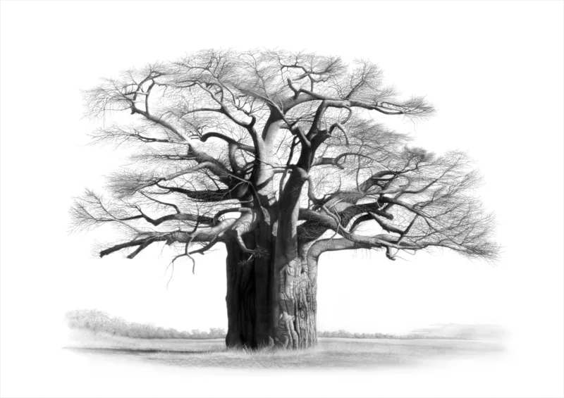"Musina" - A2 Limited Edition Print on Fine Art Paper