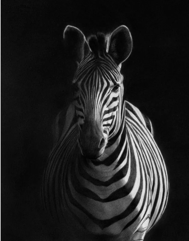 "Illuminare" - Original Pencil Art