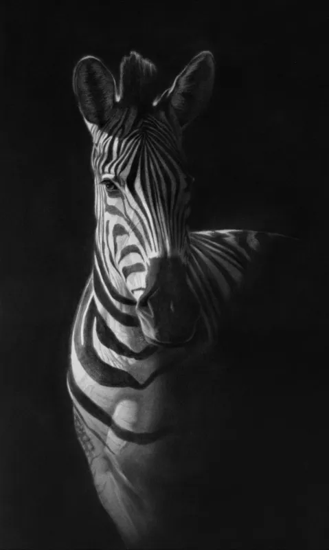 "In Lucem" - Original Pencil Art