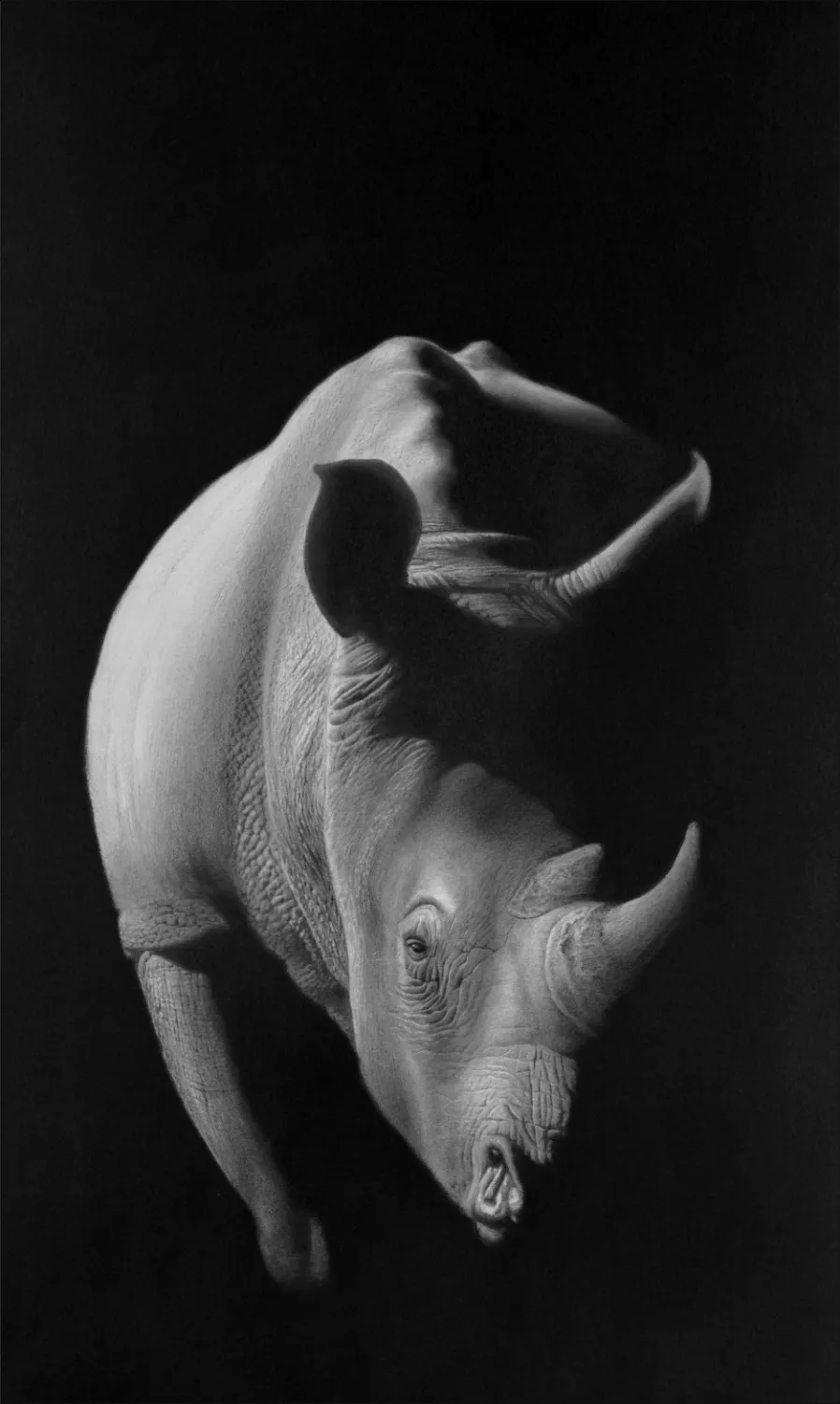 "Revelare" - Original Pencil Art