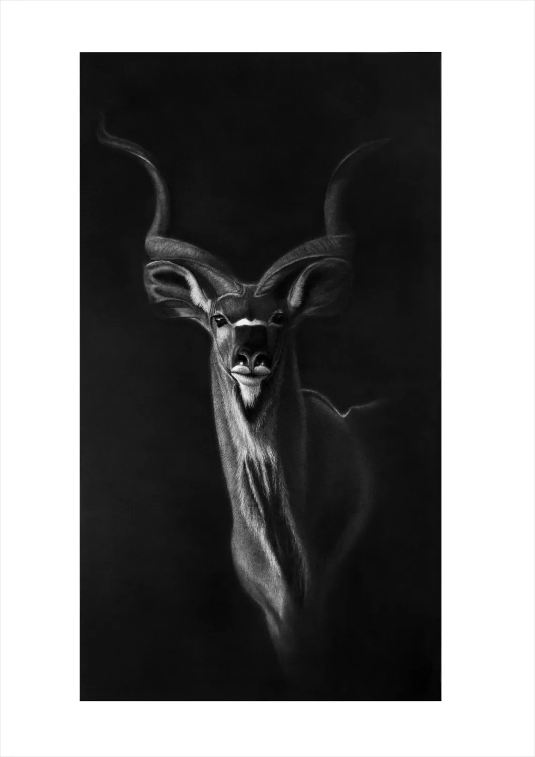 "Ex Umbris" -A2 Limited Edition Print on Fine Art Paper
