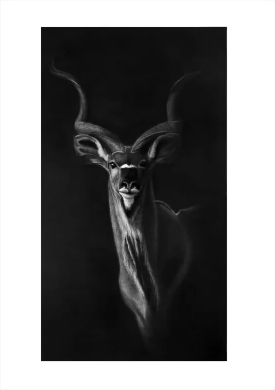 "Ex Umbris" -A2 Limited Edition Print on Fine Art Paper