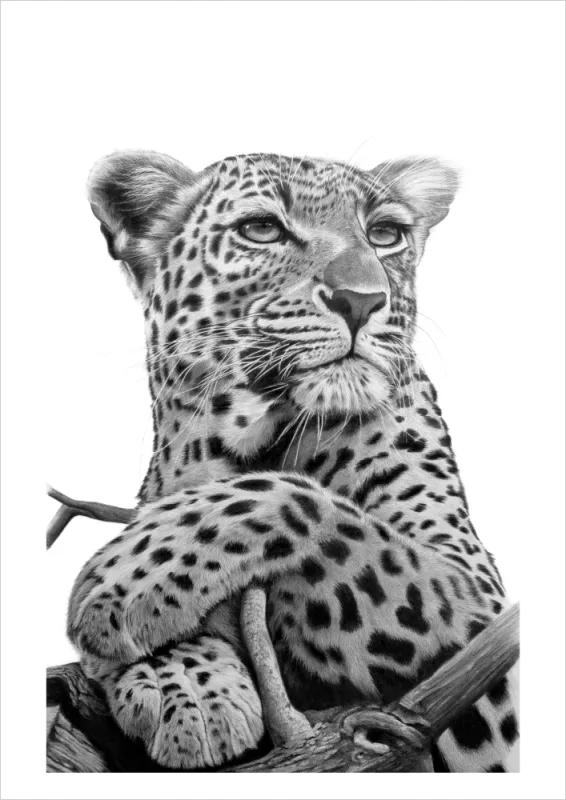 "Enigma" - A2 Limited Edition Print on Fine Art Paper
