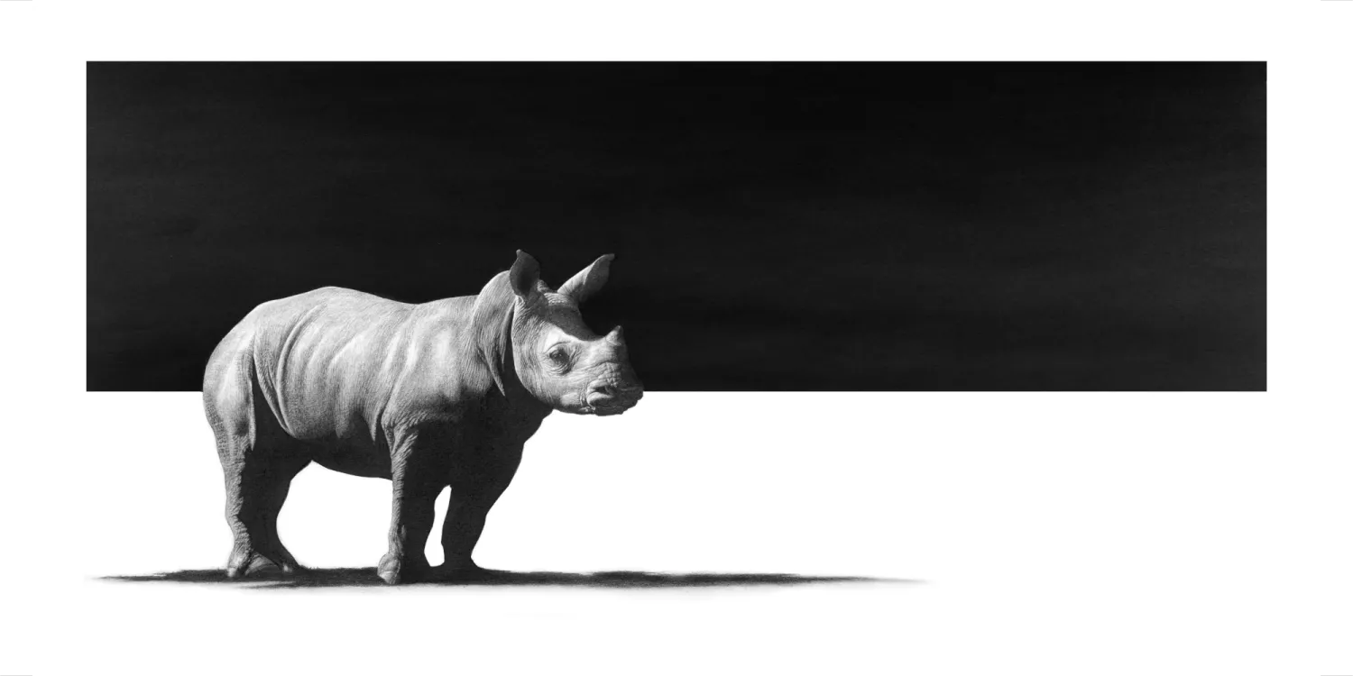 "Umuhle" - 594mm x 297mm Limited Edition Print on Fine Art Paper