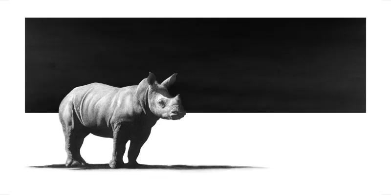 "Umuhle" - 594mm x 297mm Limited Edition Print on Fine Art Paper