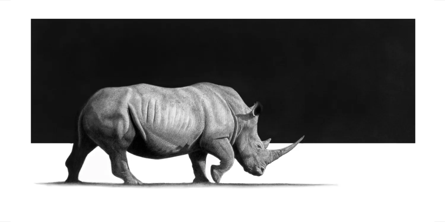 "Phambili" - 594mm x 297mm Limited Edition Print on Fine Art Paper