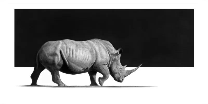 "Phambili" - 594mm x 297mm Limited Edition Print on Fine Art Paper