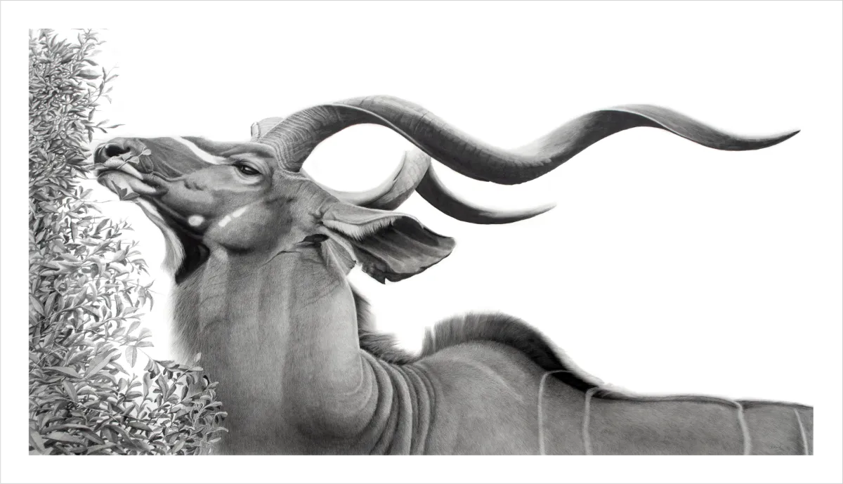 "Elegantia" - 420mm x 250mm Limited Edition Print on Fine Art Paper