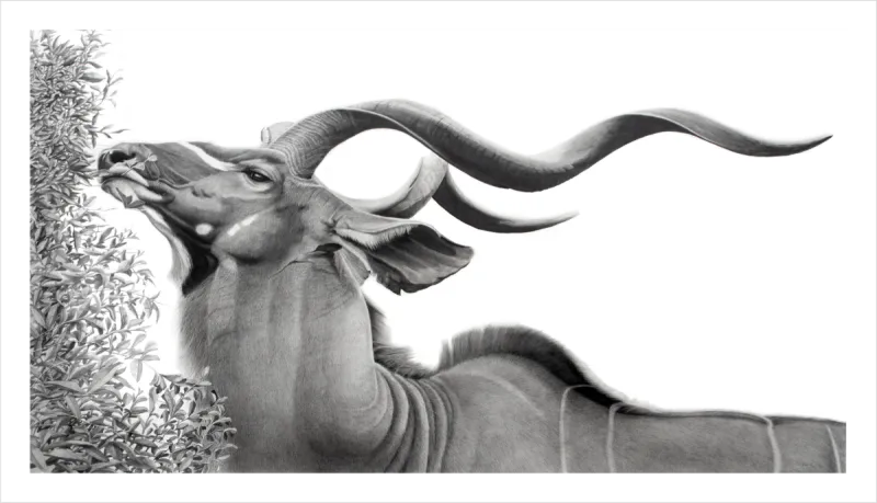 "Elegantia" - 420mm x 250mm Limited Edition Print on Fine Art Paper