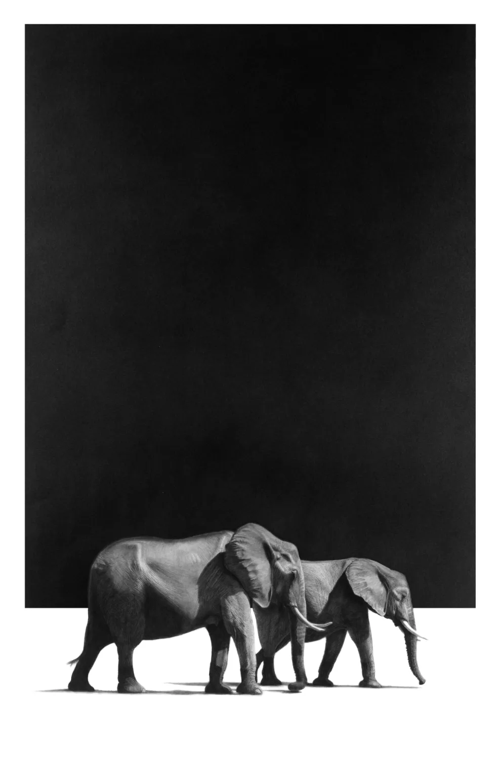 "Tasvika" - Original Pencil Art