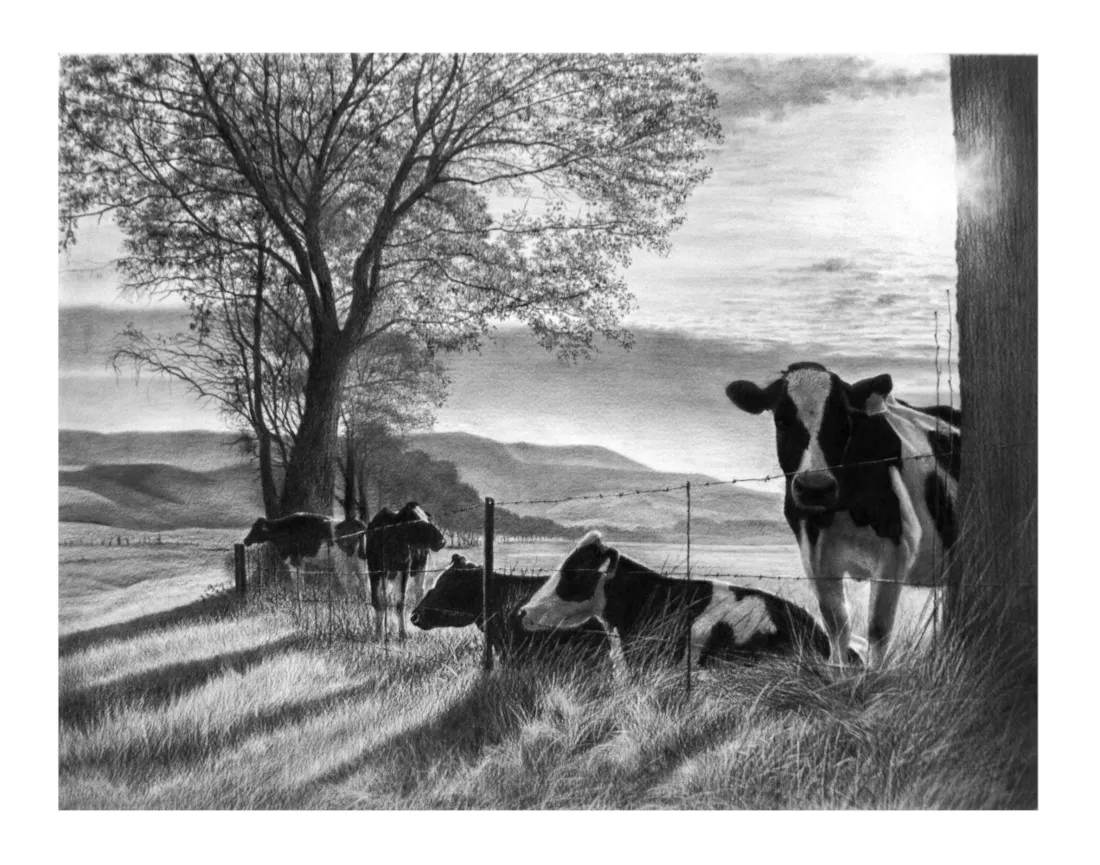 "Karkloof Queens" - Original Pencil Art