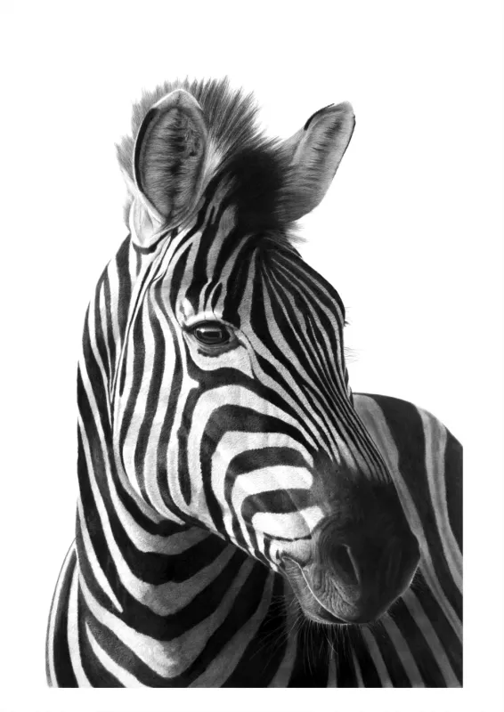 "Monochromos" - Original Pencil Art "Monochromos" - Original Pencil Art