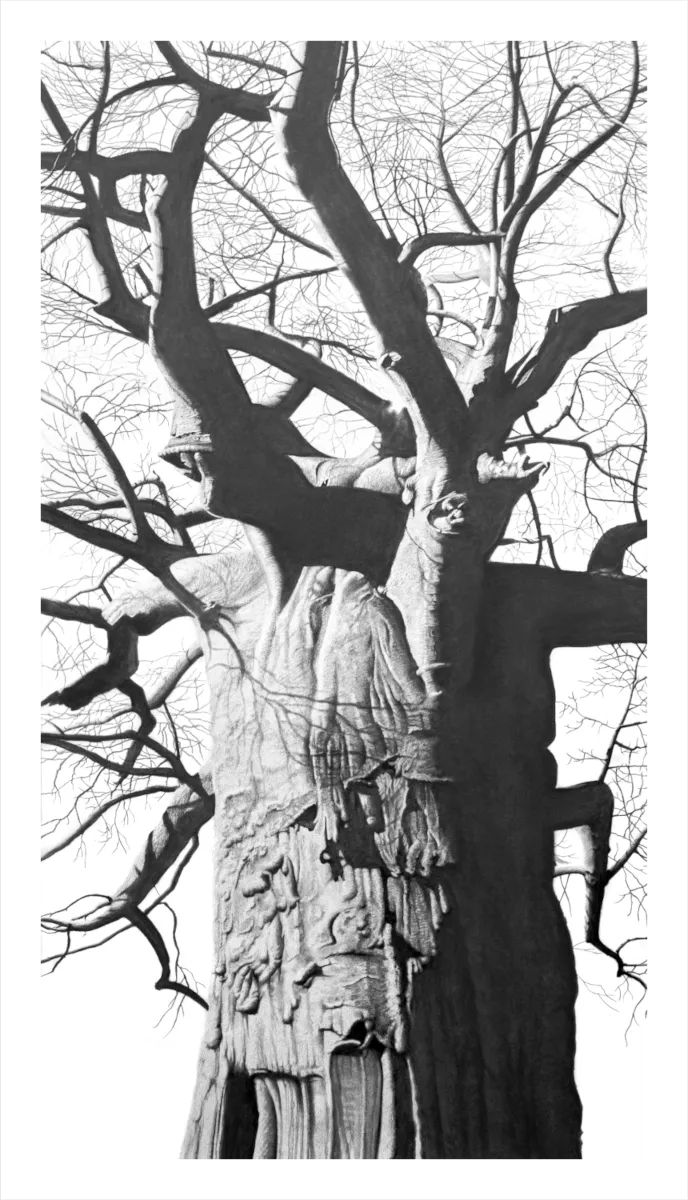 "Axis Mundi" - Original Pencil Artwork by Howick based artist Vincent Reid