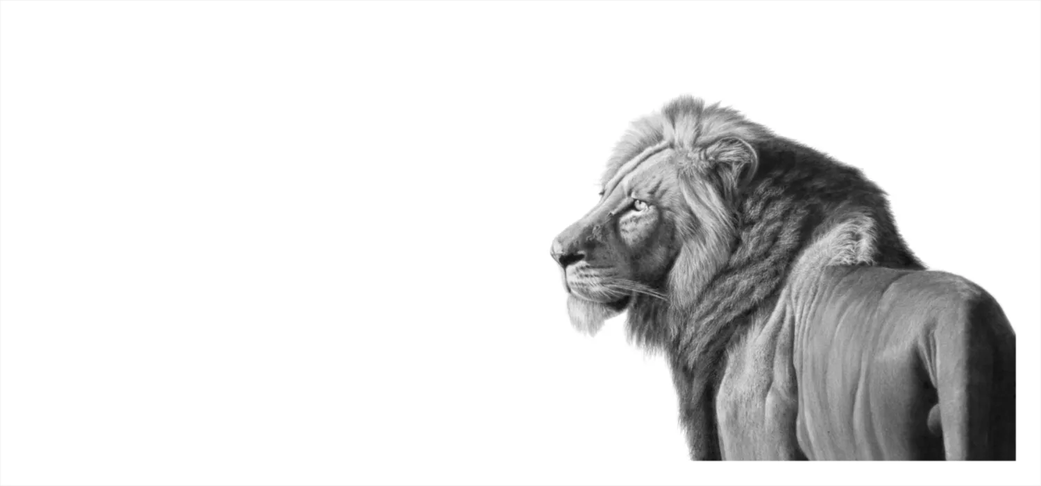 "Might and Mane" -Limited Edition Print on Fine Art Paper