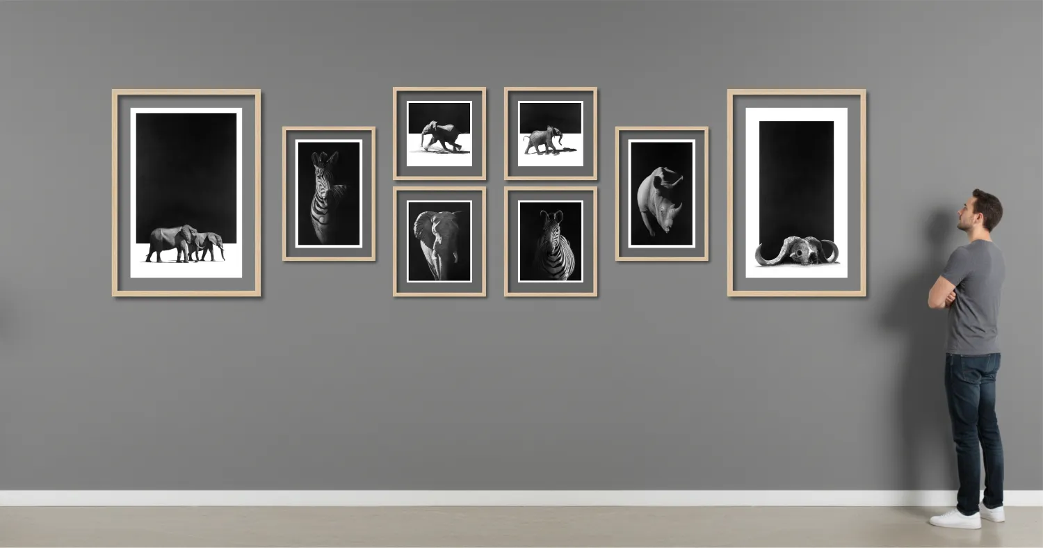 "Ex Tenebris" - Original Pencil Art Complete Gallery Wall