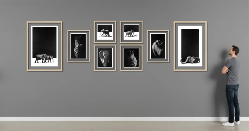 "Ex Tenebris" - Original Pencil Art Complete Gallery Wall