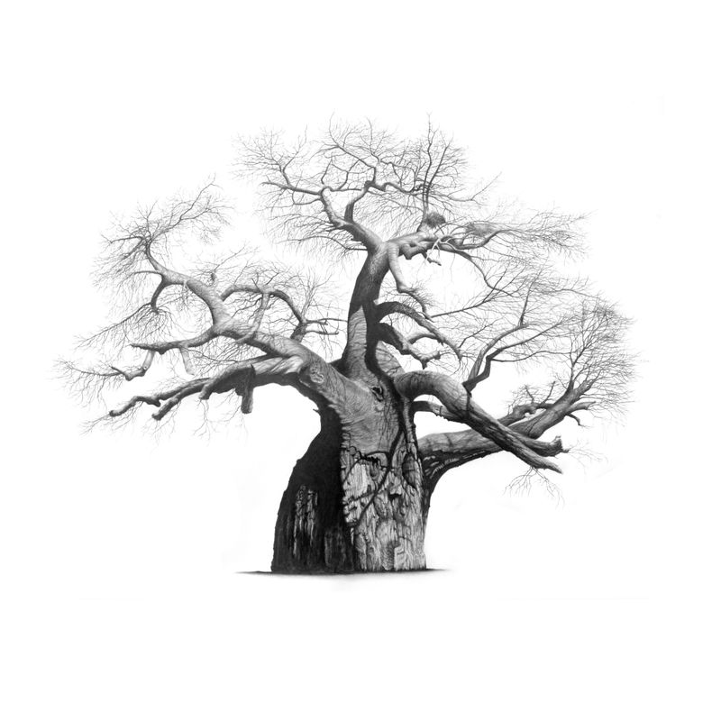 Mapungubwe Sentinel