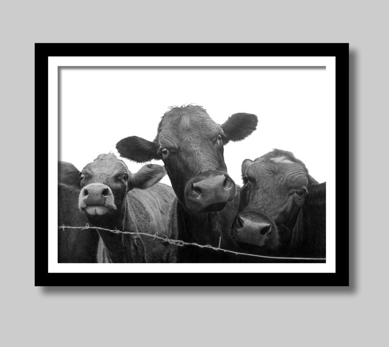 Audience of Three