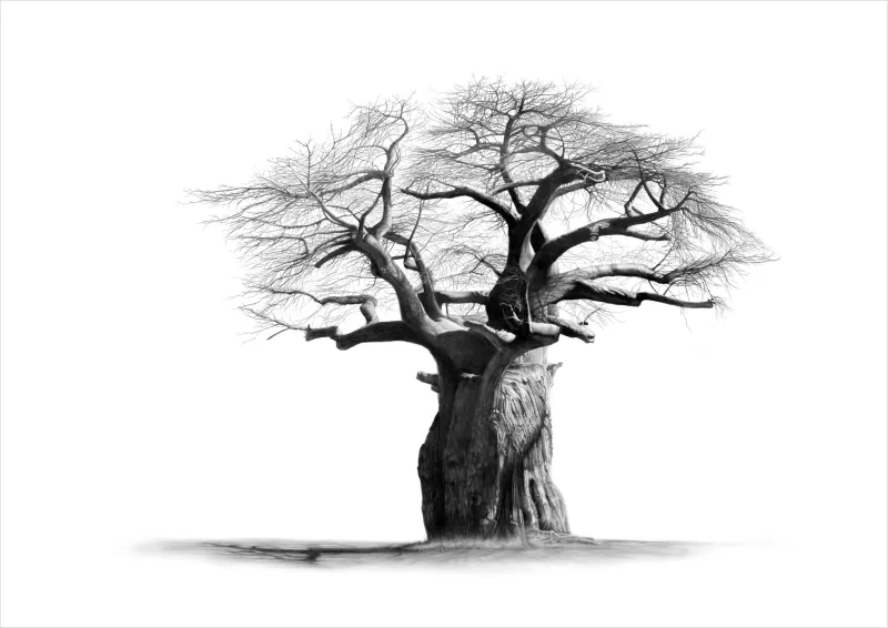 "Mapungubwe" - A2 Limited Edition Print on Fine Art Paper