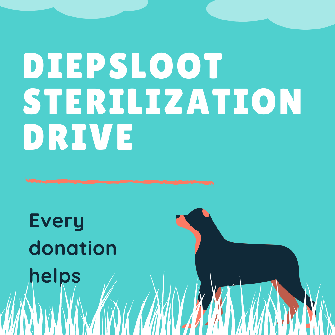 Diepsloot Dog Sterilization Drive