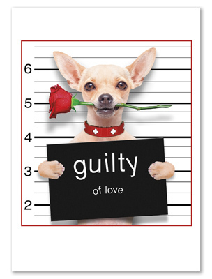 Guilty of Love