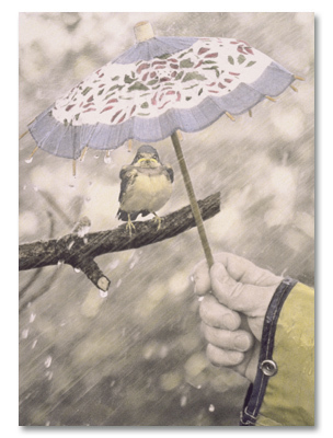 Little bird under umbrella