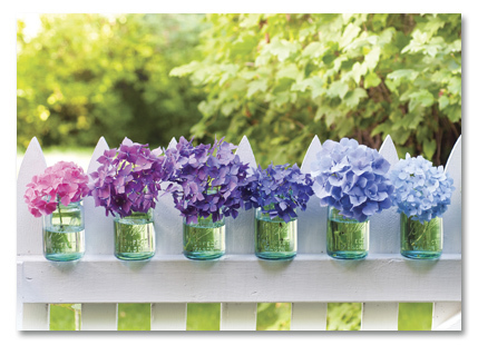 Picket fence floral