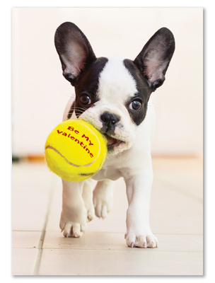 No One I'd Rather Play With