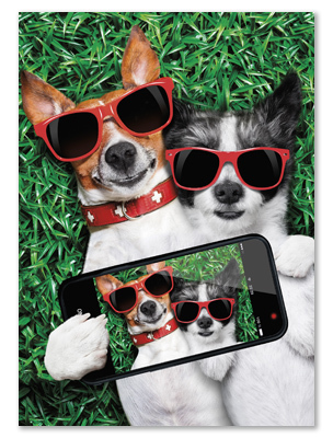 IPhone Dogs