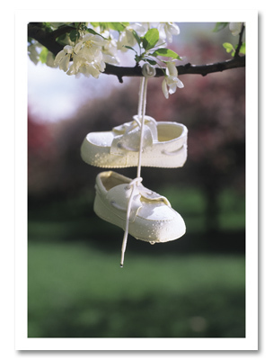 Baby shoes hanging from tree