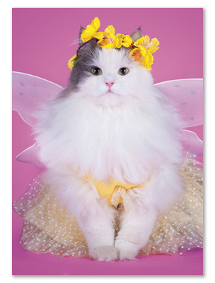 The Right Party Outfit