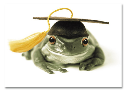 Frog graduate