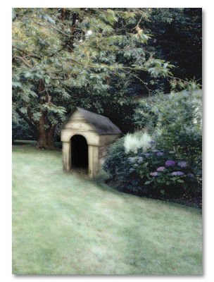 Dog house in garden